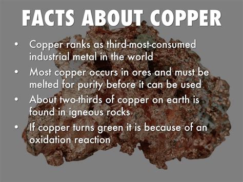 Cursed for Eternity: The Vad Copper's Dark Legacy